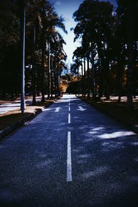 Empty road along trees