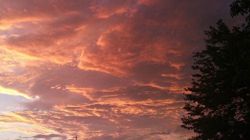 Low angle view of trees against sky at sunset