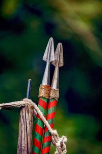 Close-up of arrows tied to wooden post