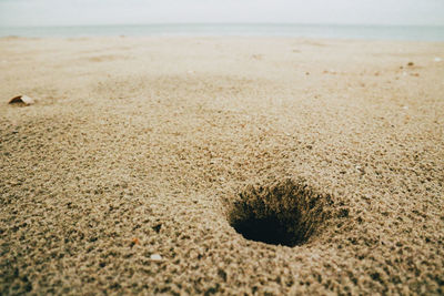 Surface level of sandy beach