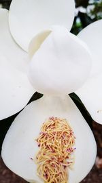 Close-up of noodles in bowl on table