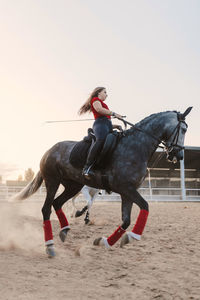 Woman riding horse in farm during weekend