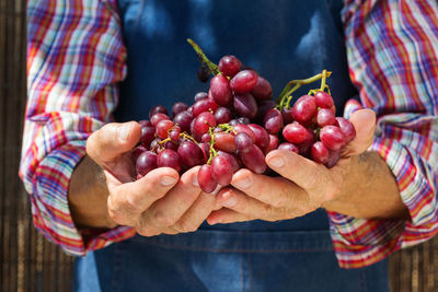 Midsection of man holding strawberries