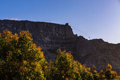 Scenic view of table mountain against clear sky with trees in foreground