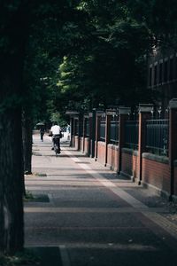 Rear view of people walking on street in city