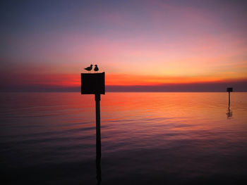 Silhouette bird on wooden post by sea against sky during sunset