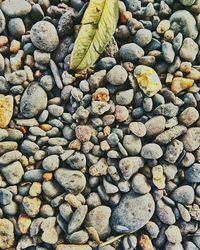 Full frame shot of pebbles