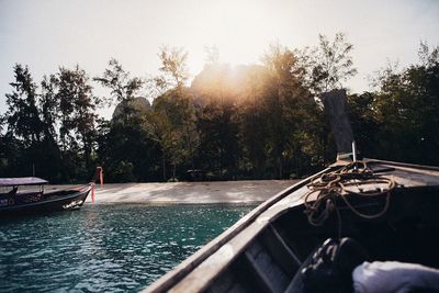 View of swimming pool against trees