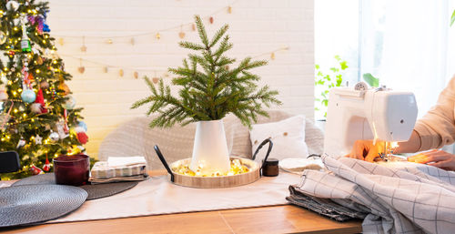 Potted plant on table