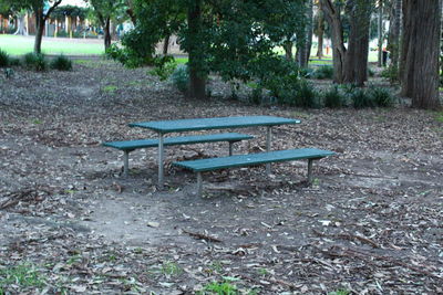 Empty bench on table in park