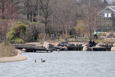 View of birds in river against built structures