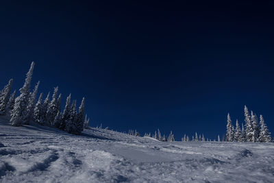 Sunny winter morning in the mountains of sheregesh on the ski track