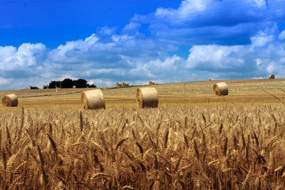 Hay bales on field against sky