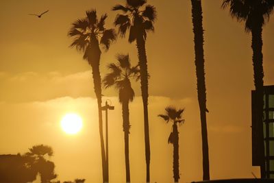 Silhouette palm trees against sky during sunset