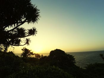 Scenic view of sea against clear sky at sunset