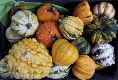 High angle view of pumpkins for sale in market