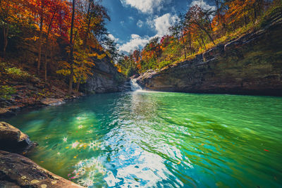 Scenic view of sea by trees during autumn