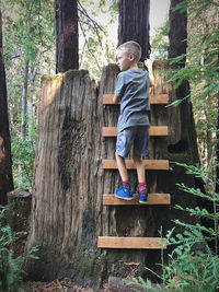 Full length of boy climbing on tree trunk against plants