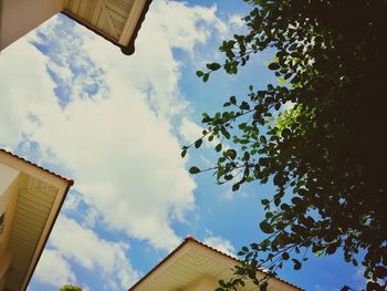 Low angle view of trees and buildings against sky