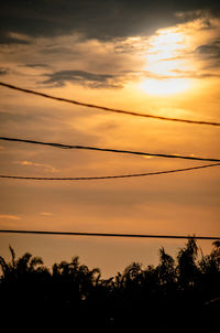 Low angle view of silhouette trees against orange sky