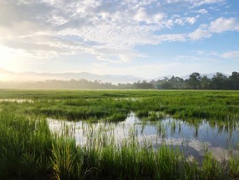 Scenic view of lake against sky