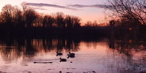 Silhouette birds on lake against sky during sunset