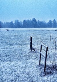 Bare trees on snow covered field