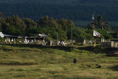 Scenic view of trees and houses on field