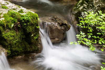 View of waterfall in forest