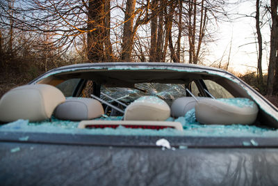 Close-up of vandalized car against trees