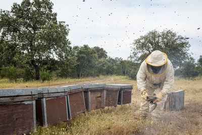 Rural and natural beekeeper, working to collect honey from hives