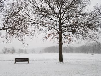 Bare tree on snow covered field during winter