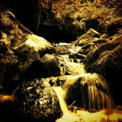 Rock formations in forest