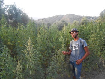 Young man standing by marijuana on field