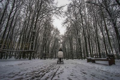 Rear view of person walking on snow covered land