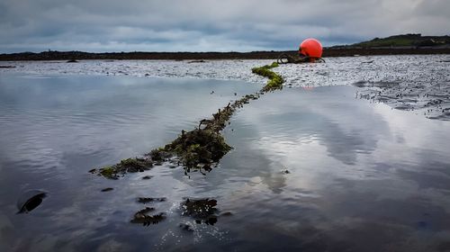 Man with balloons in sea against sky