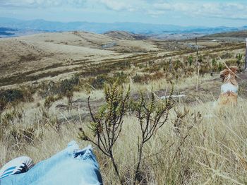 Scenic view of sand dunes against sky