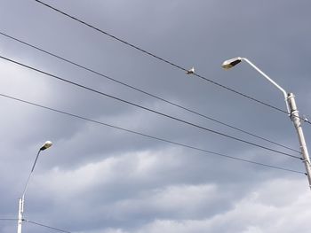 Low angle view of birds on cable against sky