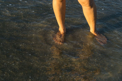 Low section of person standing on wet shore