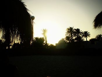 Silhouette of trees against sky at sunset