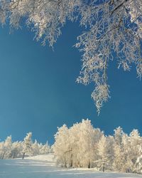 Scenic view of snow covered landscape