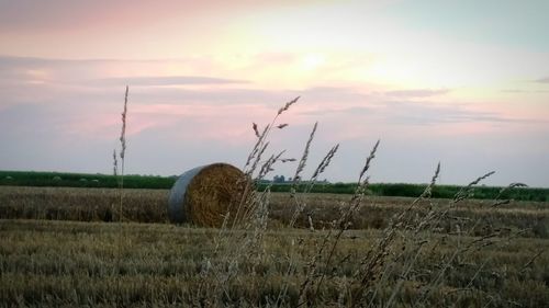 Hay bales on field against sky