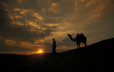 Rear view of silhouette horses on field against sky during sunset