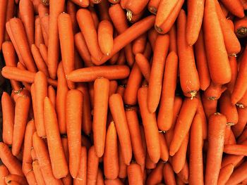 Full frame shot of carrots for sale at market stall