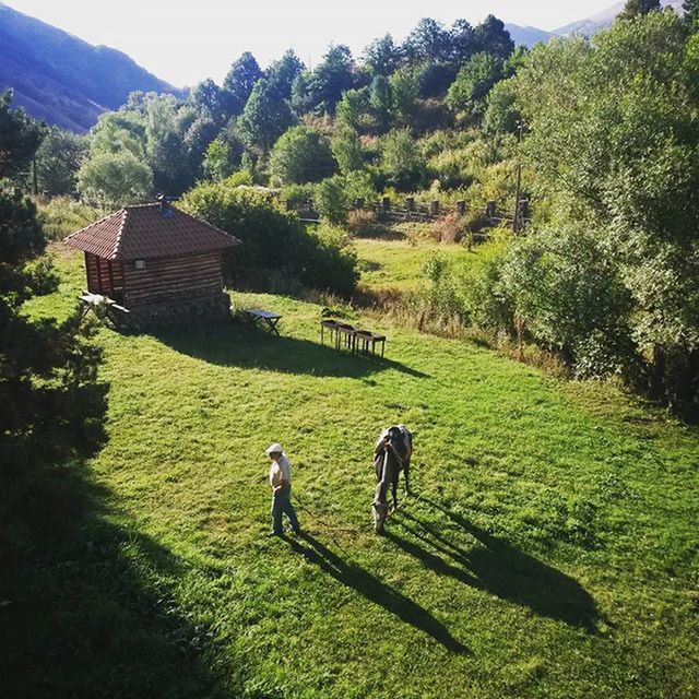 grass, mountain, green color, landscape, tranquility, tree, tranquil scene, scenics, nature, beauty in nature, full length, field, grassy, lifestyles, leisure activity, walking, hill, non-urban scene