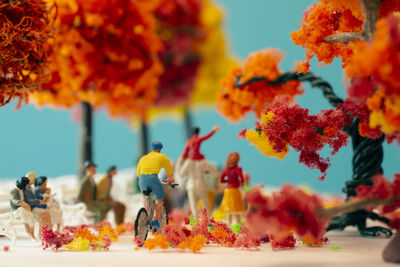 Close-up of orange flowering plants during autumn