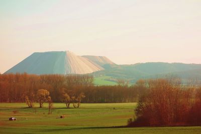 Scenic view of field against clear sky