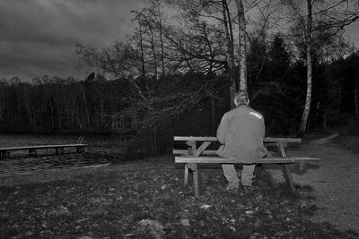 Rear view of man sitting on bench in forest