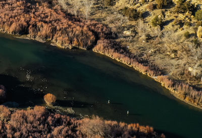 High angle view of lake along trees