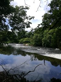 Scenic view of lake in forest against sky